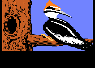 Bird (TeBe)