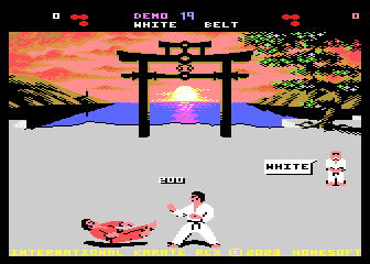 International Karate RCX
