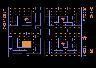 Labyrinth