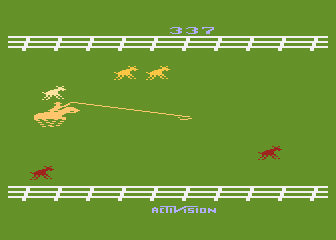 Stampede