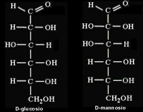 Figure 2a