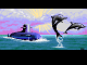 oceandetox-congratsscreen atari ooz