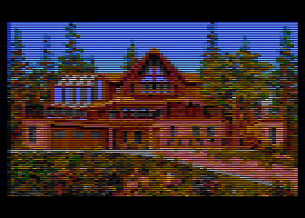 Amiga Picture Show