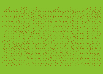 Ants
