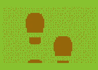 Ants