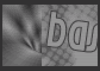 Bash!
