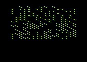 Chryzantemy 256