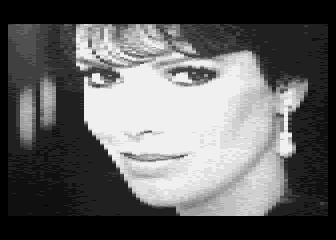 Computer Eyes