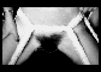 Digital-Bilder 3