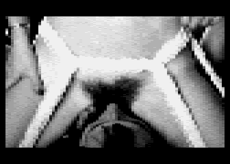 Digital-Bilder 3