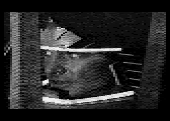 Digital-Bilder 3
