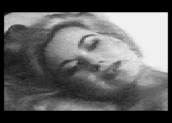 Digital-Bilder 3