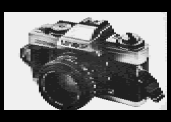 Digitized Pictures