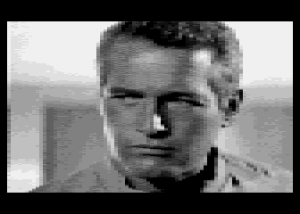 Digitized Snaps