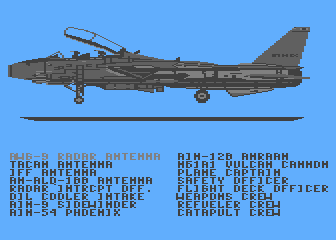 F-14 Tomcat Animation