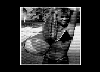 Fuls' Pictures
