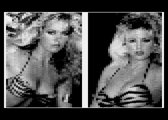 Fuls' Pictures