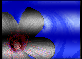 Numen