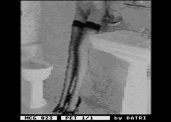 Pet 1/1