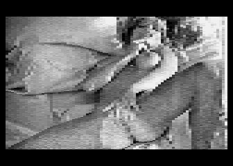 Porn Pictures