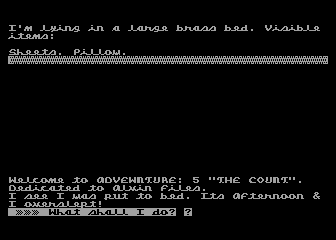 Adventure 5: The Count