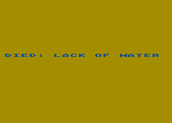 Analog Adventure