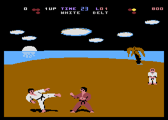 Brutal Karate
