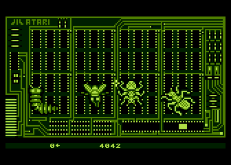 Bug Hunt