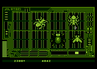 Bug Hunt