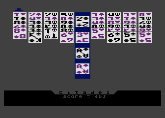 Citadel
