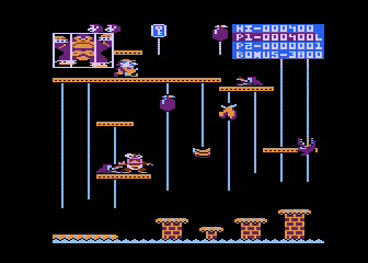 Donkey Kong Junior