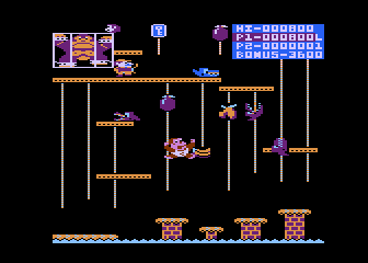 Donkey Kong Junior
