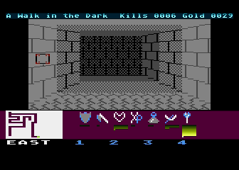 Dungeon Hunt