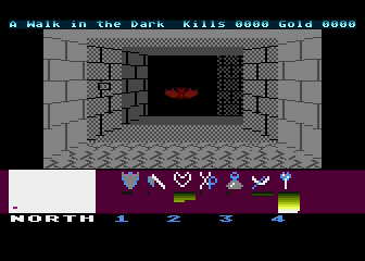 Dungeon Hunt