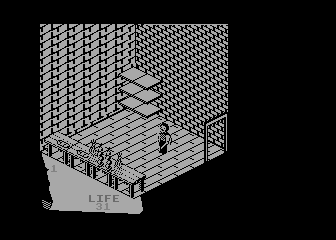 Fairlight
