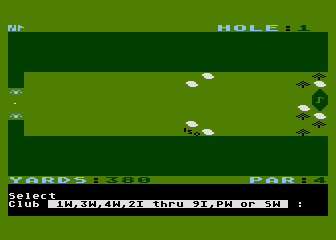 Fairway Challenge