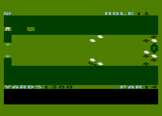 Fairway Challenge