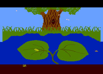 Frogs And Flies