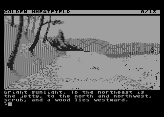 Guild of Thieves, The