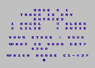 Horse Race