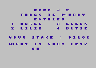 Horse Race