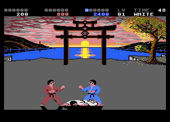 International Karate Plus