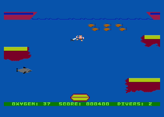 Kooky Diver 2021