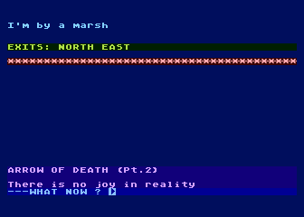 Mysterious Adventure No. 4: Arrow Of Death 2