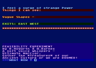 Mysterious Adventure No. 7: Feasibility Exper