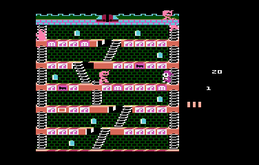 Mr. Do's Castle