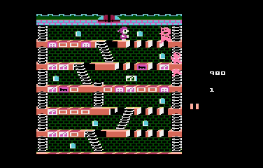 Mr. Do's Castle