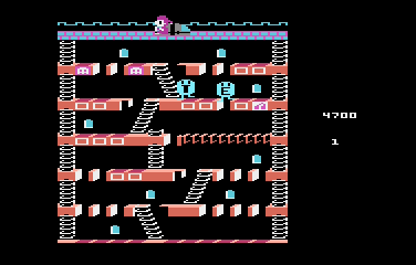 Mr. Do's Castle