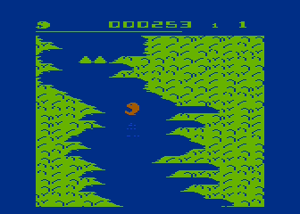 Salmon Run