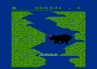 Salmon Run